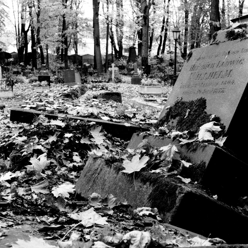 Мобильный квест в Петербурге «Тайны Смоленского кладбища»