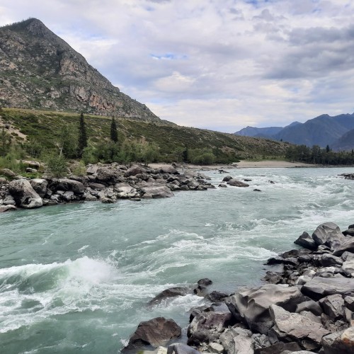 Сиреневые горы, Алтай и май: главные места во время цветения маральника в мини-группе (всё включено)