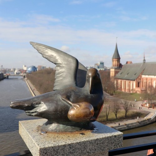 По побережью Балтийского моря: загадки и тайны Калининградской области