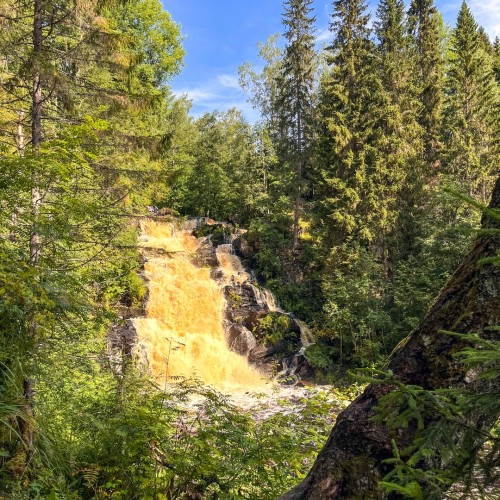 Дом у озера: отдых на берегу Ладоги и экскурсии