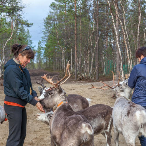 Сокровища Северного Ледовитого океана: полуостров Рыбачий, Териберка, Мурманск и саамская деревня