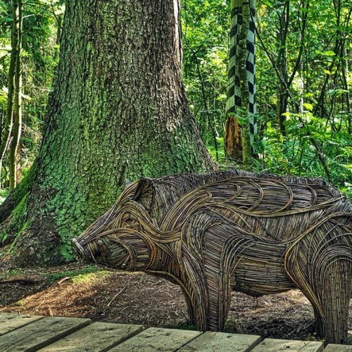 Куршская коса, Зеленоградск и Пионерский: нестандартная экскурсия