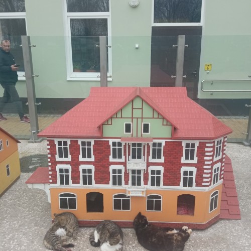 Встречай, янтарный край: индивидуальное путешествие по городам Калининградской области