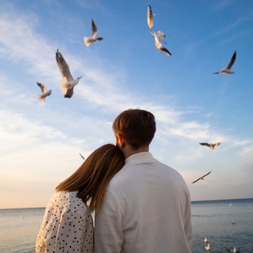 На майские в город кошек: выходные в Зеленоградске с прогулкой по Калининграду и Кушской косе