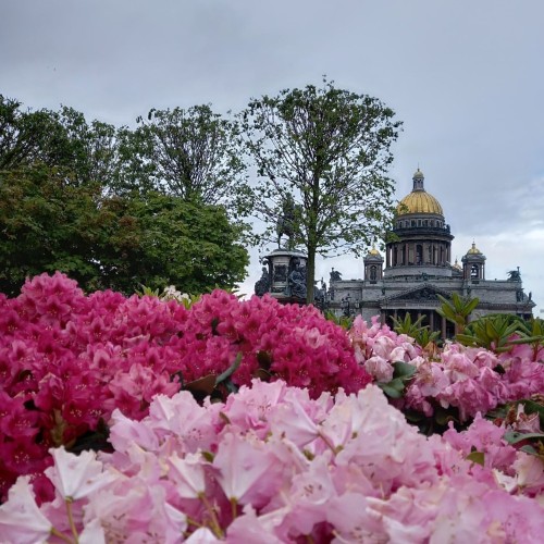 «Золотой треугольник» Петербурга: обзорная экскурсия