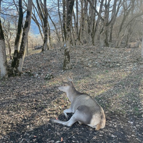 Своей компанией по Домбаю: Тебердинский заповедник, горы, пещеры, озёра