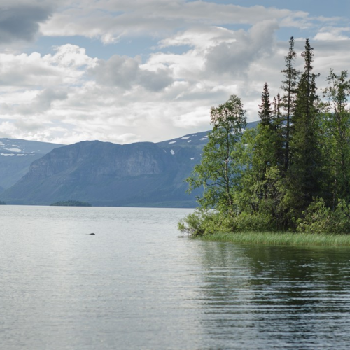Удивительный Кольский: Сейдозеро, полуостров Средний и Териберка