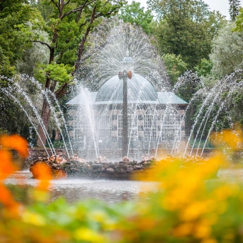 К фонтанам Петергофа — на метеоре (билеты включены)