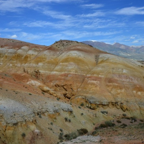 Большое алтайское приключение