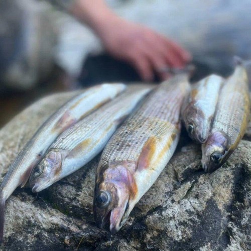 Путешествие на Байкал: рыбалка на судне, лучшие локации Ольхона и места силы