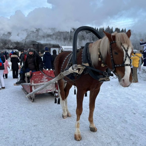 Два дня в сказочной Карелии: горный парк «Рускеала», Паасо и другие популярные места