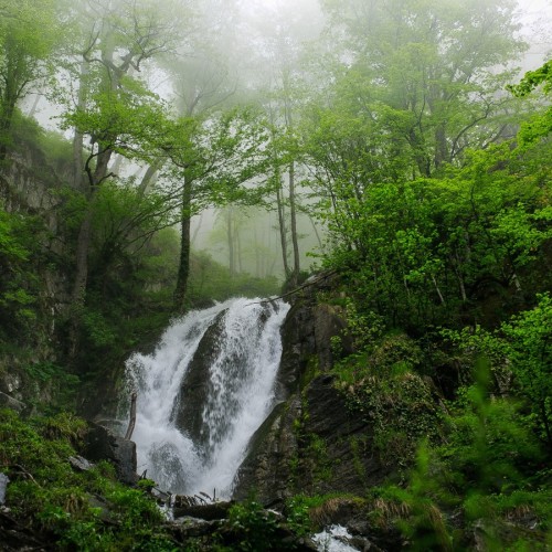 Треккинг к водопаду Кейва и фотосессия