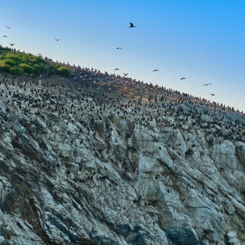 Всё, что вы хотели увидеть на Байкале в мини-группе: главные места и прогулка на катере