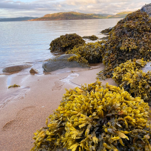 Северная перезагрузка: Мурманск, поездка в Териберку и ночь в купольном доме