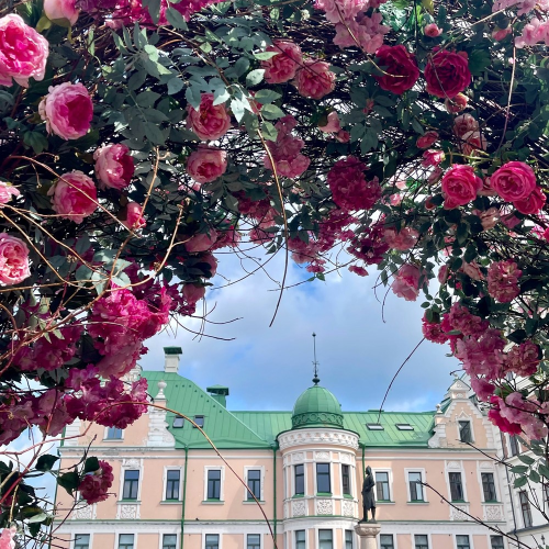 Весь Выборг за один день — на «Ласточке» из Санкт-Петербурга