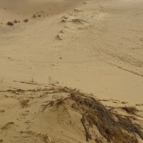 В объятиях гор Дагестана: красивые места, старинные башни и атмосферные аулы