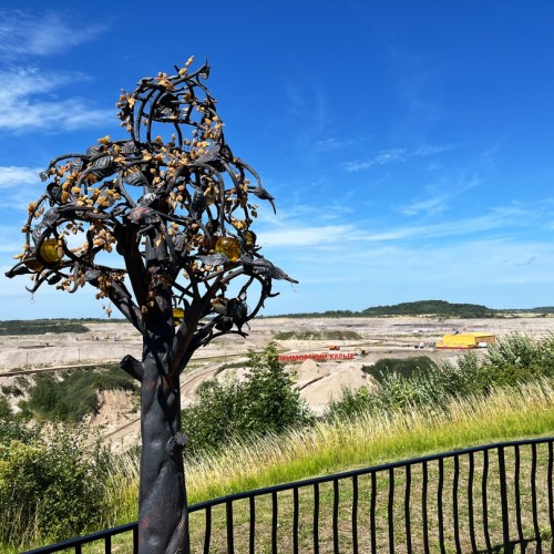 Перезагрузка в экоотеле на побережье Балтики и экскурсия по Янтарному