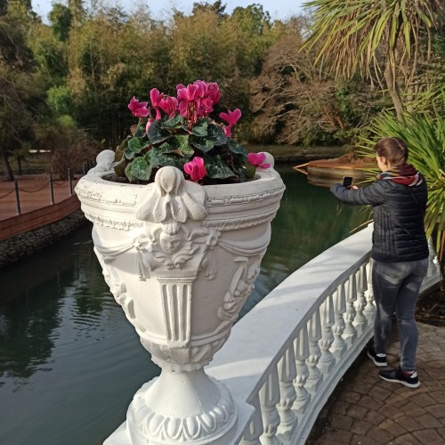 Дни и ночи в дивном Сочи: город и окрестности