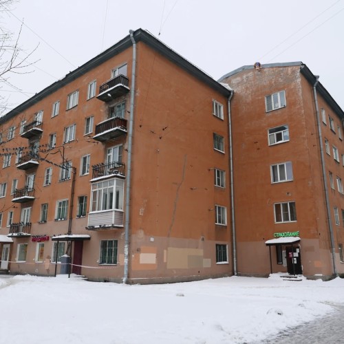 Колористическая экскурсия «40 цветов против серого»