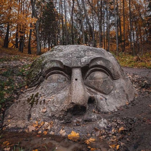 Путешествие в мир заброшенных усадеб — из Петербурга