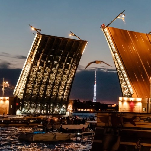 Романтика белых ночей и разводных мостов