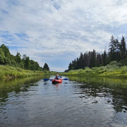 Очарование Медведицы: лёгкий сплав на байдарках (всё включено)