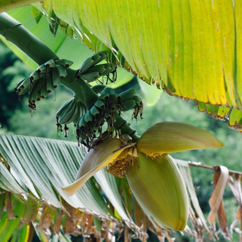 Большой тур по Сочи: природа, архитектура, история