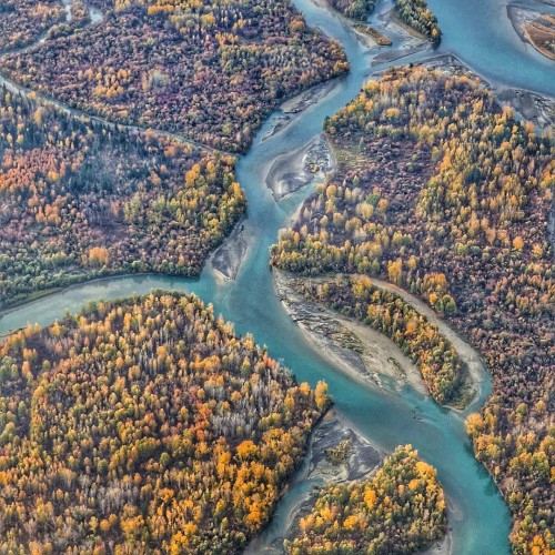 Конный тур для новичков по осеннему Алтаю с проживанием на базе. Всё включено