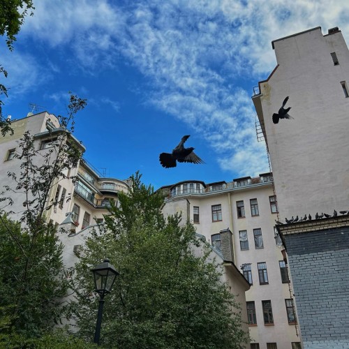 Истории и скандалы в стиле северный модерн