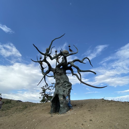 На Байкал за видами: окрестные города, природа и КБЖД