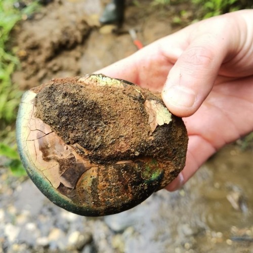 За окаменелостями музейного уровня в Ярославскую область с палеонтологом