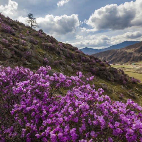 Джип-путешествие к священному озеру Манас