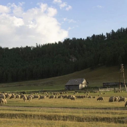 По озёрам, горам и степям с комфортом: 4 дня на Алтае