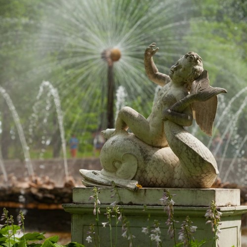 К фонтанам Петергофа в группе