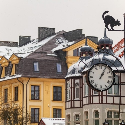 Замок, коты и динозавры