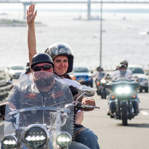 Californication по-питерски