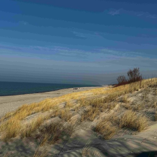 Индивидуальное путешествие с историком по Калининграду и области