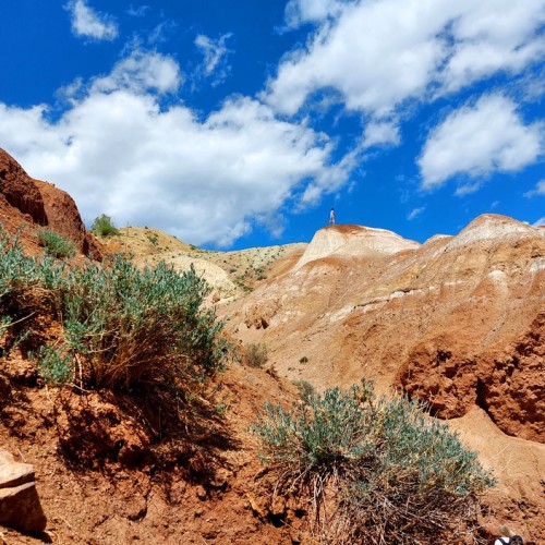 Насыщенный треккинг-тур по Алтаю с размещением на турбазах: более 25 локаций