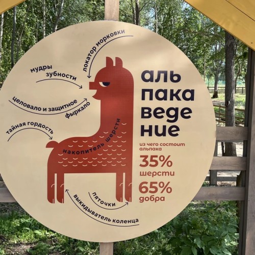 В Свияжск + в гости к альпакам