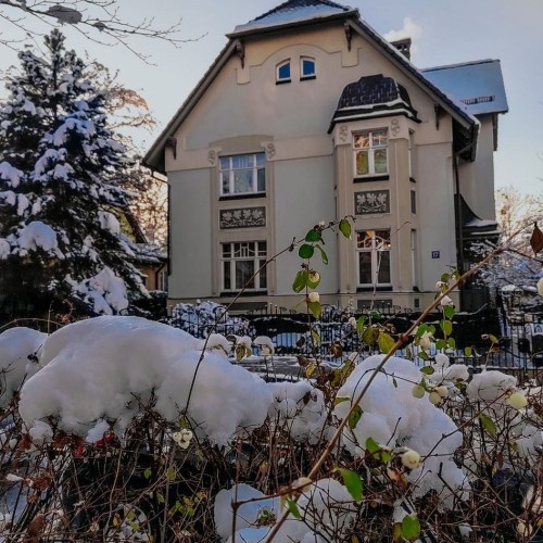 Весна в Амалиенау — европейском уголке Калининграда