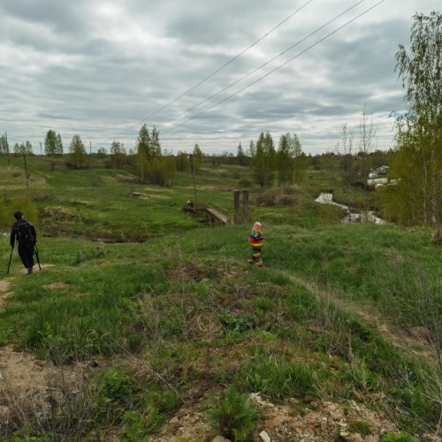 За окаменелостями музейного уровня в Ярославскую область с палеонтологом