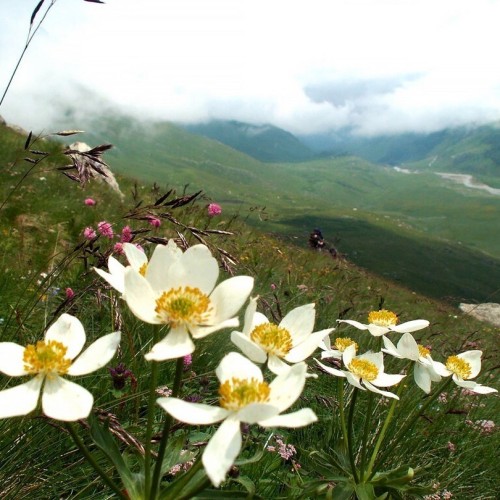 Налегке по Северной Осетии: прогулки по горам Дигории