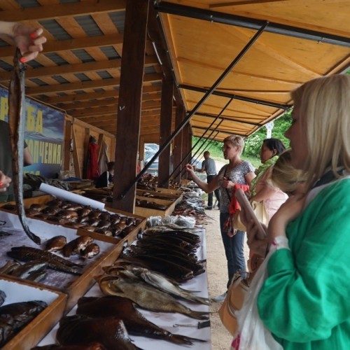 Перезагрузка на побережье Селигера с круизом по озеру и трансфером из Москвы (всё включено)