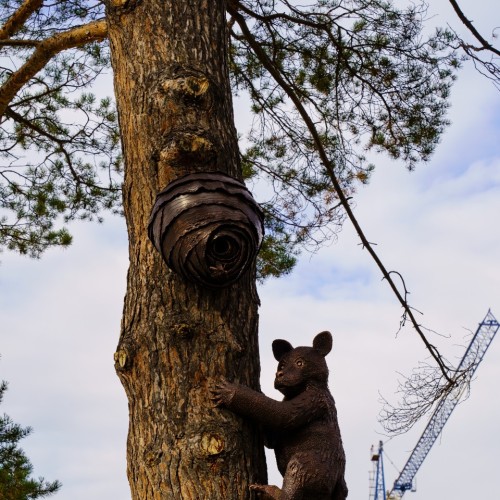 Топовые места Алтая в мини-группе: Гейзерное озеро, Чуйский тракт, долина Горных духов и Патмос