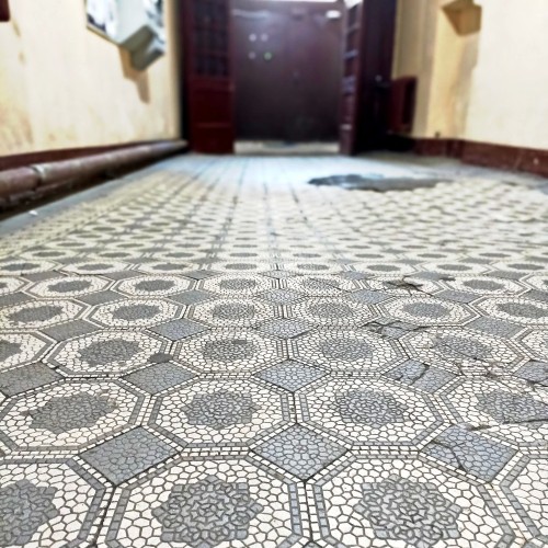 За фасадом: тайные уголки Петроградской стороны