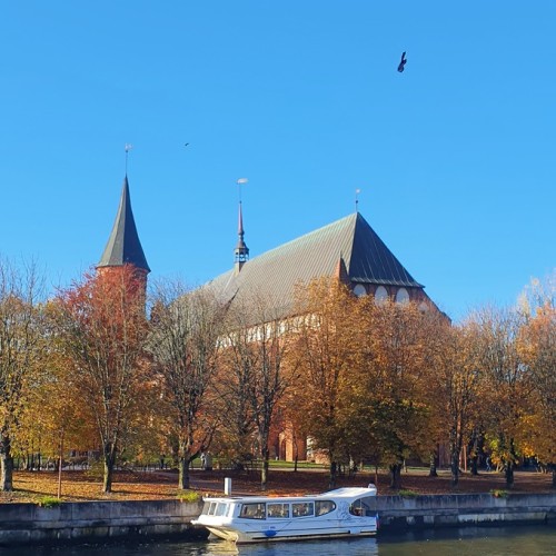 Индивидуальная поездка в Калининград: Балтийск, Светлогорск, Зеленоградск и Куршская коса