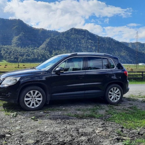 Нескучный Чуйский