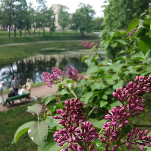 Пешеходная экскурсия по Старой Гатчине