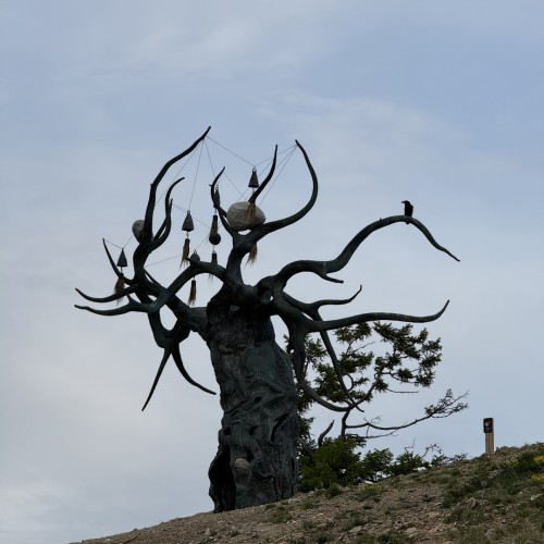 По всему Ольхону на джипе только в вашей компании