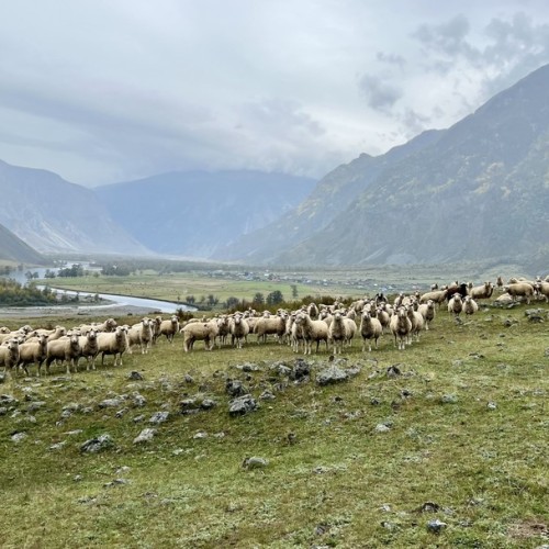 Хайкинг по главным местам Алтая: горы, озёра и водопады
